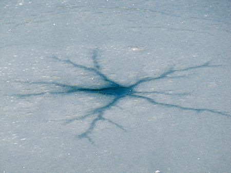 b0051109_6355570.jpg