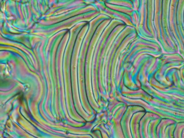 c0164709_19125564.jpg
