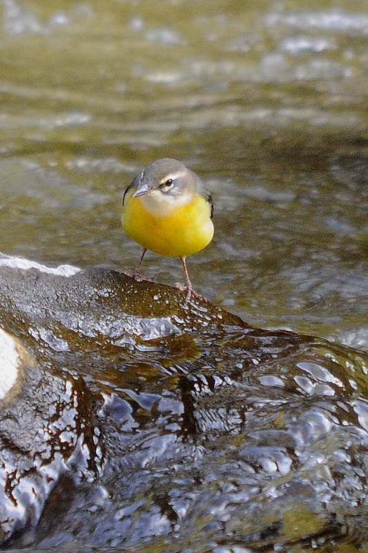 a0189912_1625244.jpg