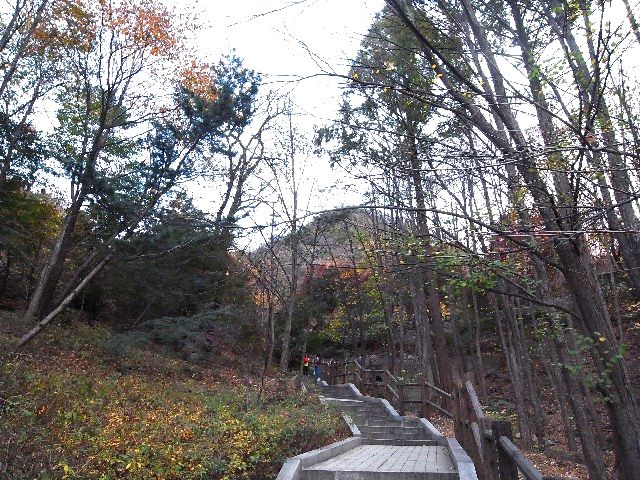 c0116714_23202878.jpg