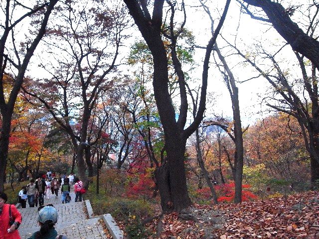 c0116714_2320511.jpg