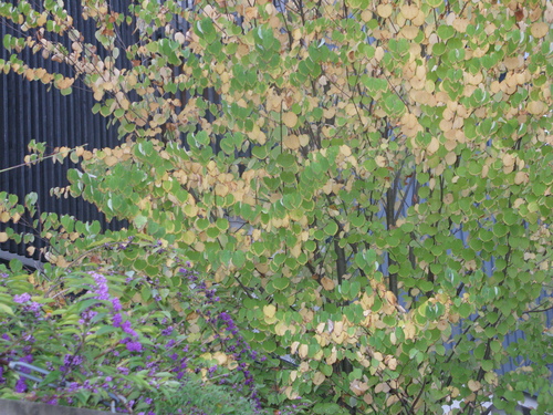 e0030917_16332549.jpg