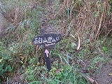 b0236019_10431790.jpg