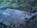 b0236019_10434617.jpg