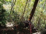 b0236019_10481268.jpg