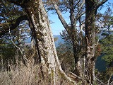 b0236019_1103727.jpg