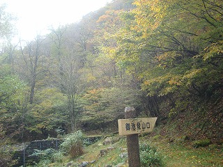 b0236019_15404888.jpg