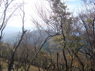 b0236019_15482299.jpg