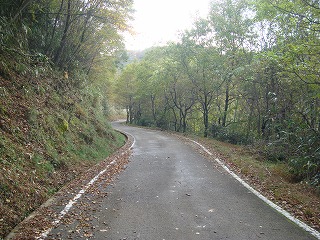 b0236019_16274290.jpg