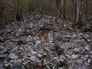 b0236019_16324312.jpg