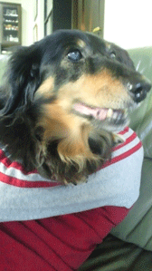f0232522_17435595.gif