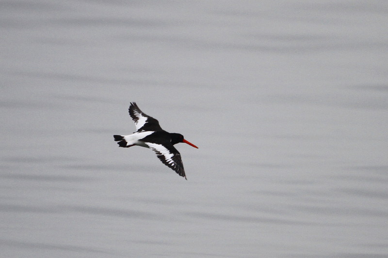 b0179023_22361523.jpg