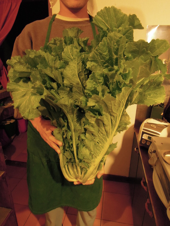 e0242423_1202112.jpg