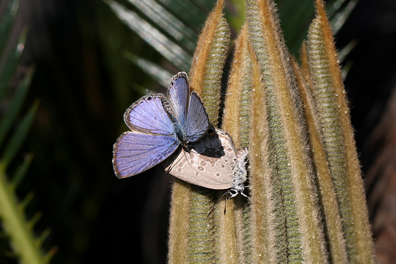 d0054625_177650.jpg