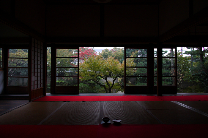 紅葉の東福寺 －光明院、東光寺－_b0169330_2348348.jpg