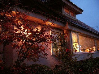e0202031_2250871.jpg