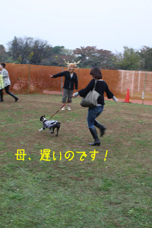 a0190132_1921215.jpg