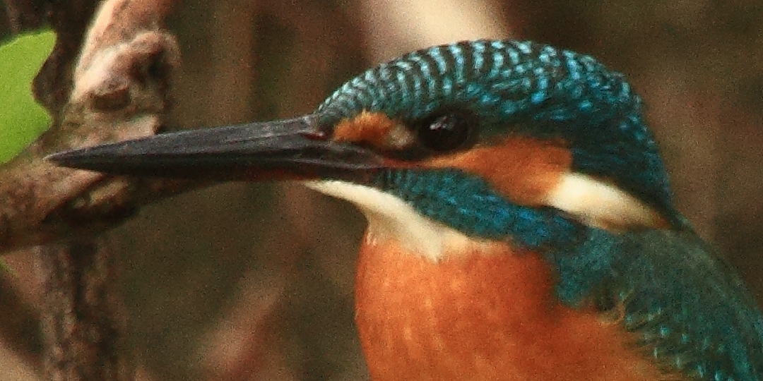 a0203733_1758319.jpg