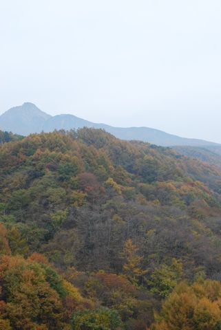 e0206433_2338586.jpg