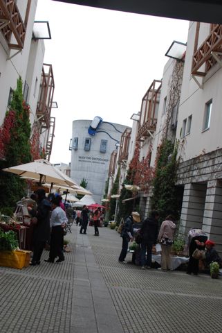 e0206433_2339355.jpg