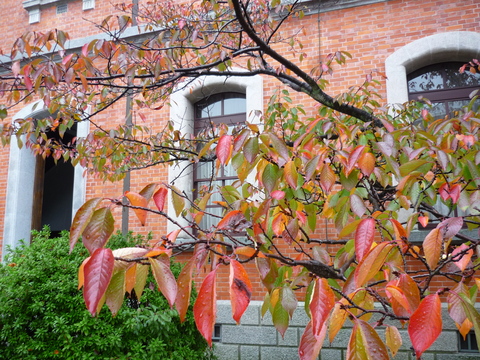 c0216434_16592810.jpg