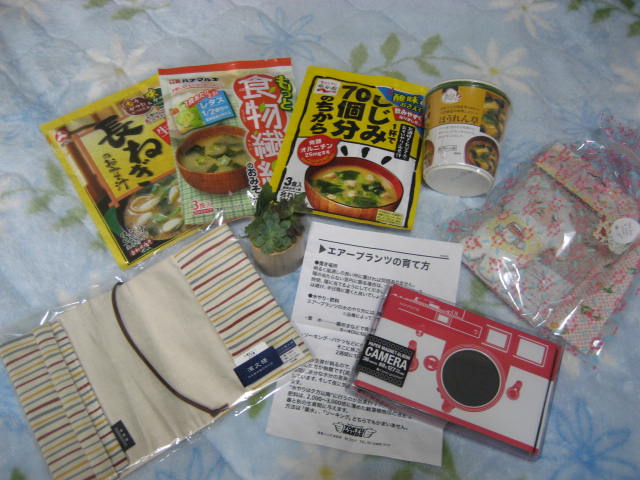 b0236337_20365764.jpg