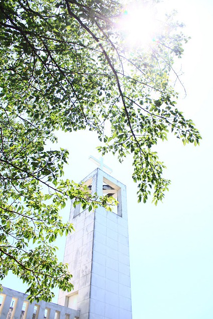c0219738_4582667.jpg