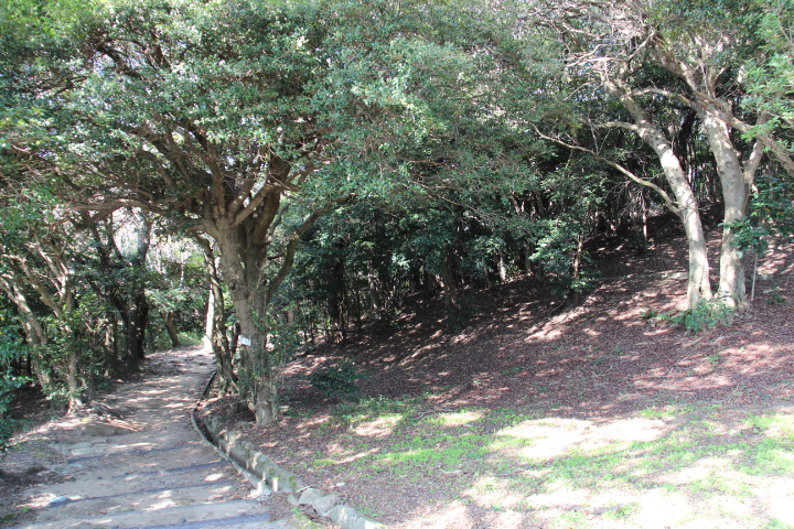 須磨浦公園と須磨寺_c0153740_1745466.jpg