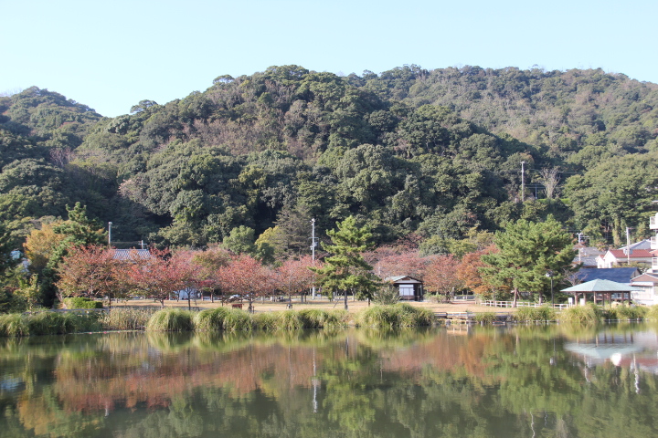 須磨浦公園と須磨寺_c0153740_19252541.jpg