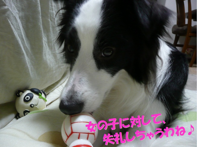 c0147241_2115135.jpg