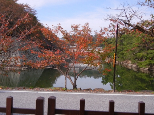 a0216142_23323975.jpg
