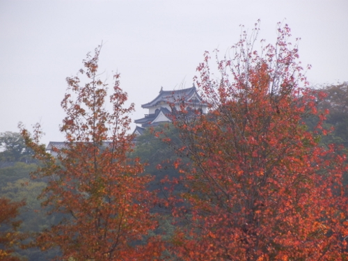 a0216142_23371046.jpg