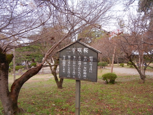 a0216142_23402275.jpg