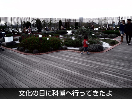 文化の日に科博へ行ってきたよ_c0060143_1812965.jpg