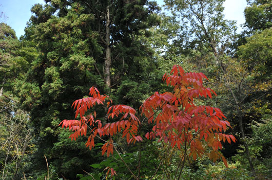 c0093046_6464871.jpg