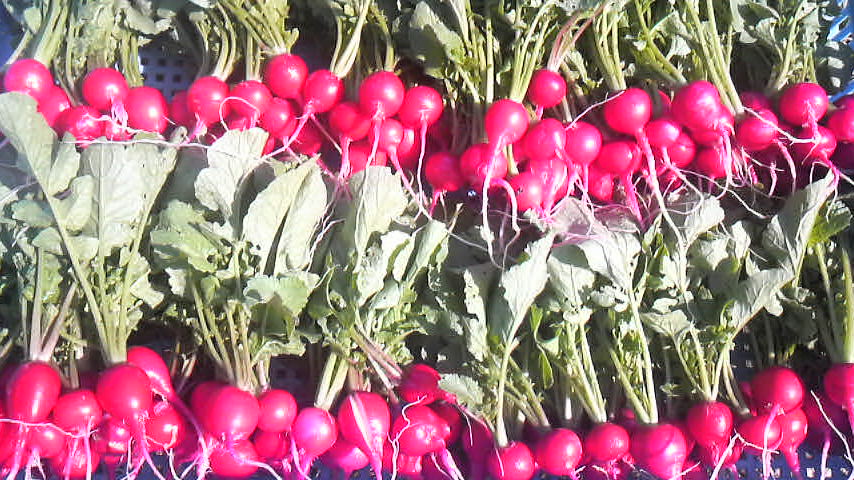 c0127548_02559.jpg