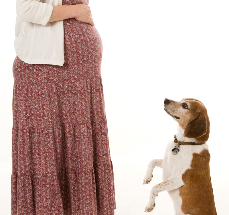 Maternity Photo_a0088749_19402152.jpg