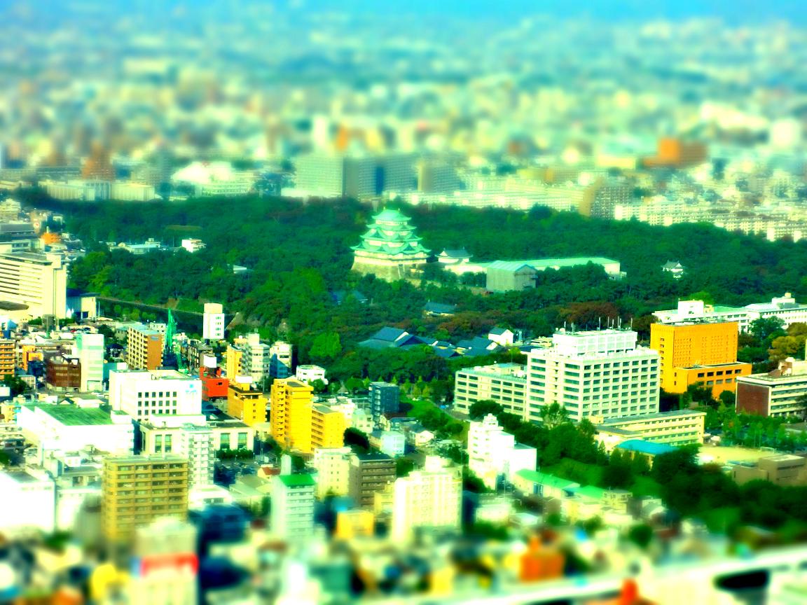 a0055650_7583561.jpg