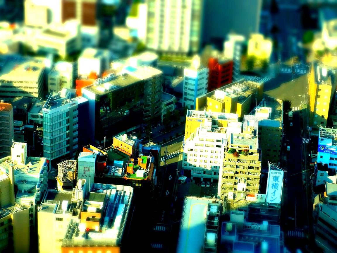 a0055650_8363876.jpg