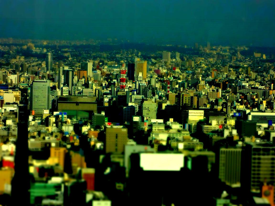 a0055650_8372068.jpg