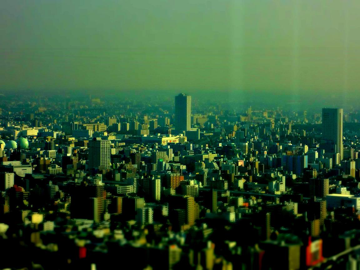 a0055650_838346.jpg