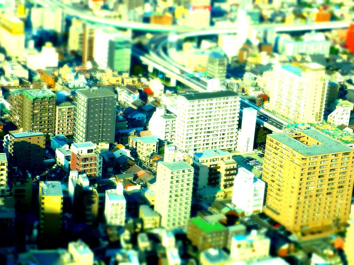 a0055650_8473899.jpg