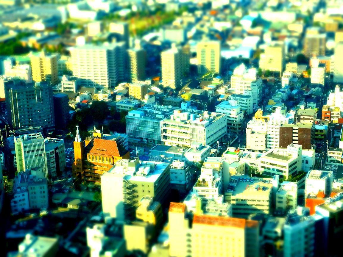 a0055650_848104.jpg