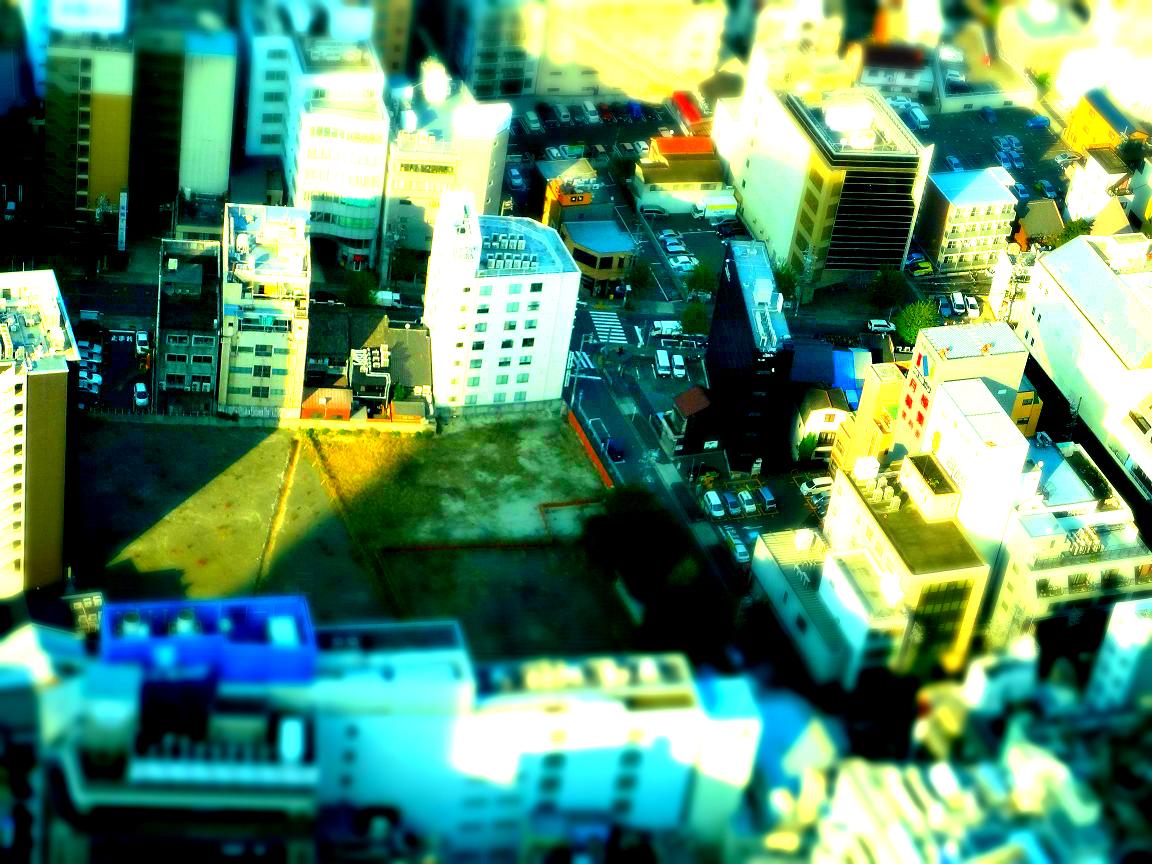 a0055650_8484892.jpg