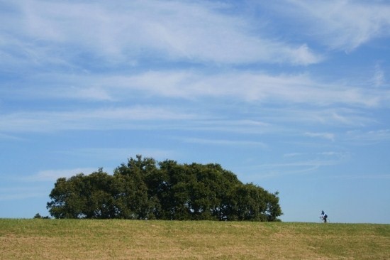 e0126350_3374517.jpg