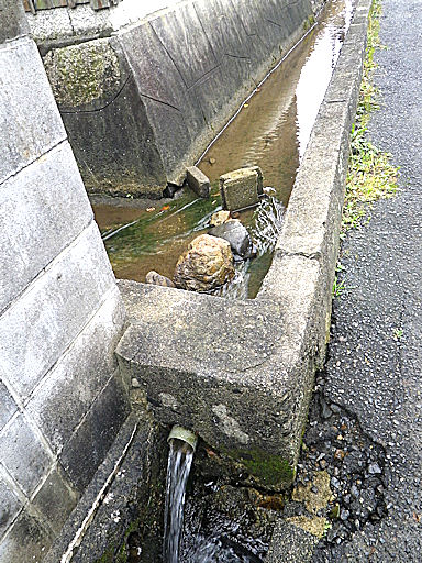 f0156359_12113430.jpg