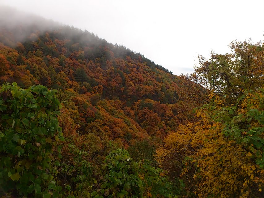 f0035460_17515951.jpg