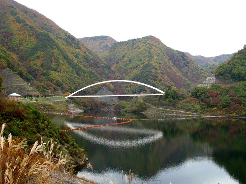 通仙峡の紅葉 山の花 町の花 通仙峡の紅葉 山の花 町の花