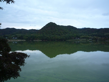 a0219573_2040158.jpg