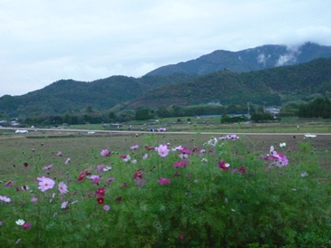 a0219573_20402125.jpg